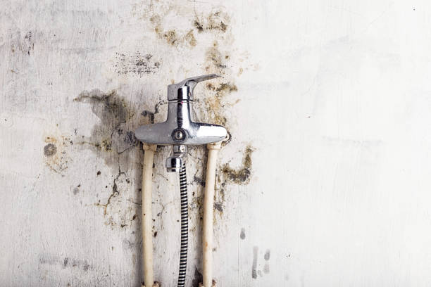 Best Local Mold Removal Service  in Yukon, OK