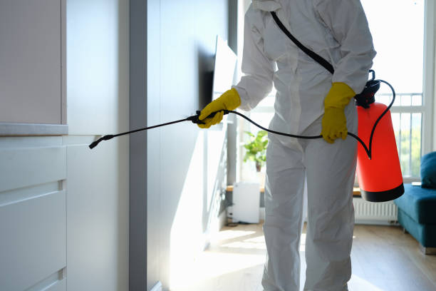 Best Home Mold Removal  in Yukon, OK