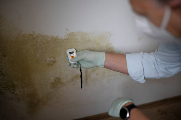 Best Certified Mold Removal  in Yukon, OK