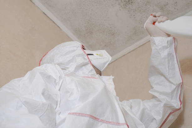 Best Professional Mold Removal  in Yukon, OK