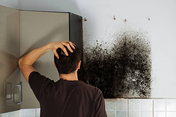 Best Home Mold Removal  in Yukon, OK